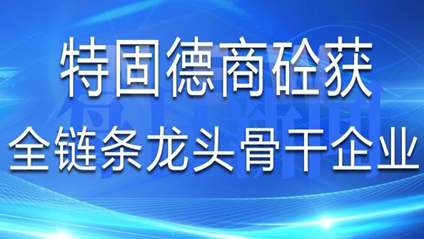 祝賀特固德商砼獲評(píng)山東省建筑業(yè)第一批“全鏈條龍頭骨干企業(yè)”